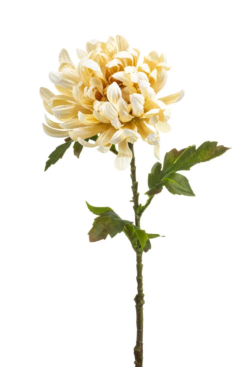 Chrysantheme künstlich 60 cm - 1 Stiel - Creme