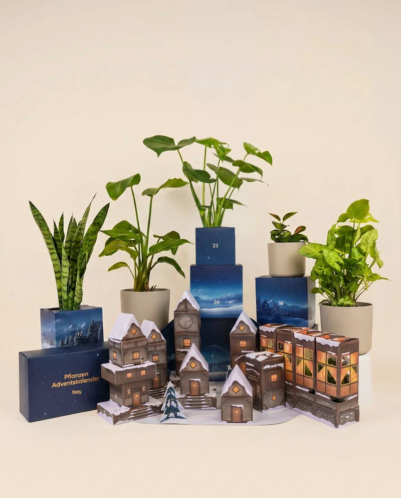 Pflanzen Adventskalender «Winterdorf im Abendblau» (Dschungel-Version)