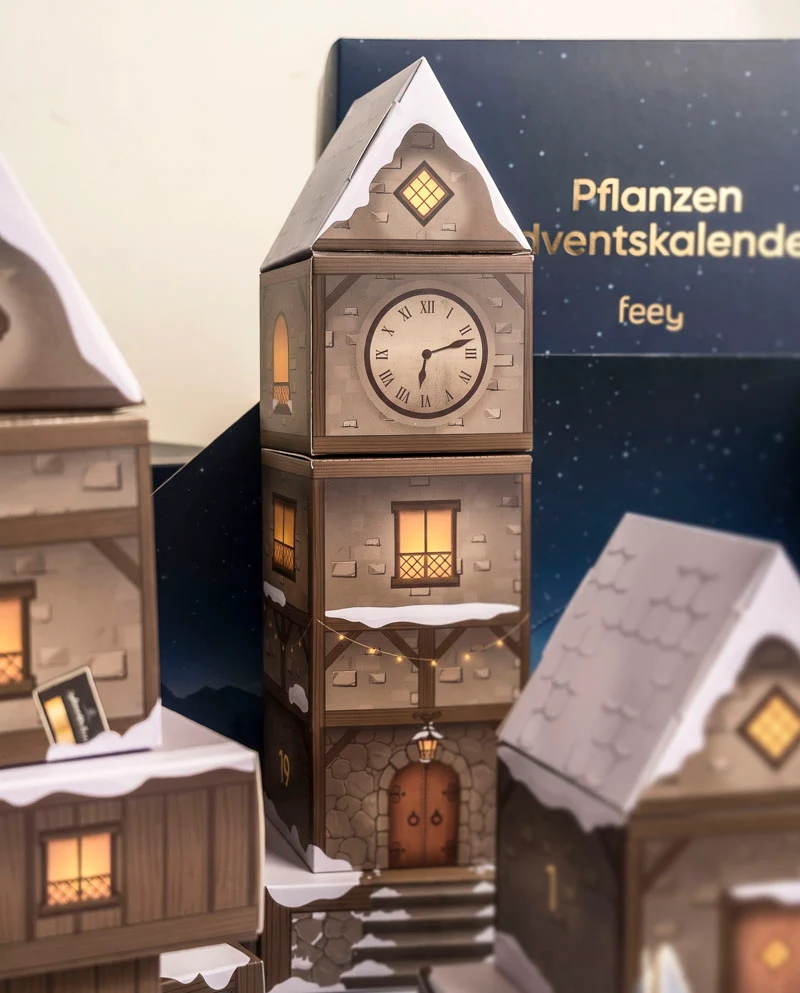 Pflanzen Adventskalender «Winterdorf im Abendblau» (Dschungel-Version)