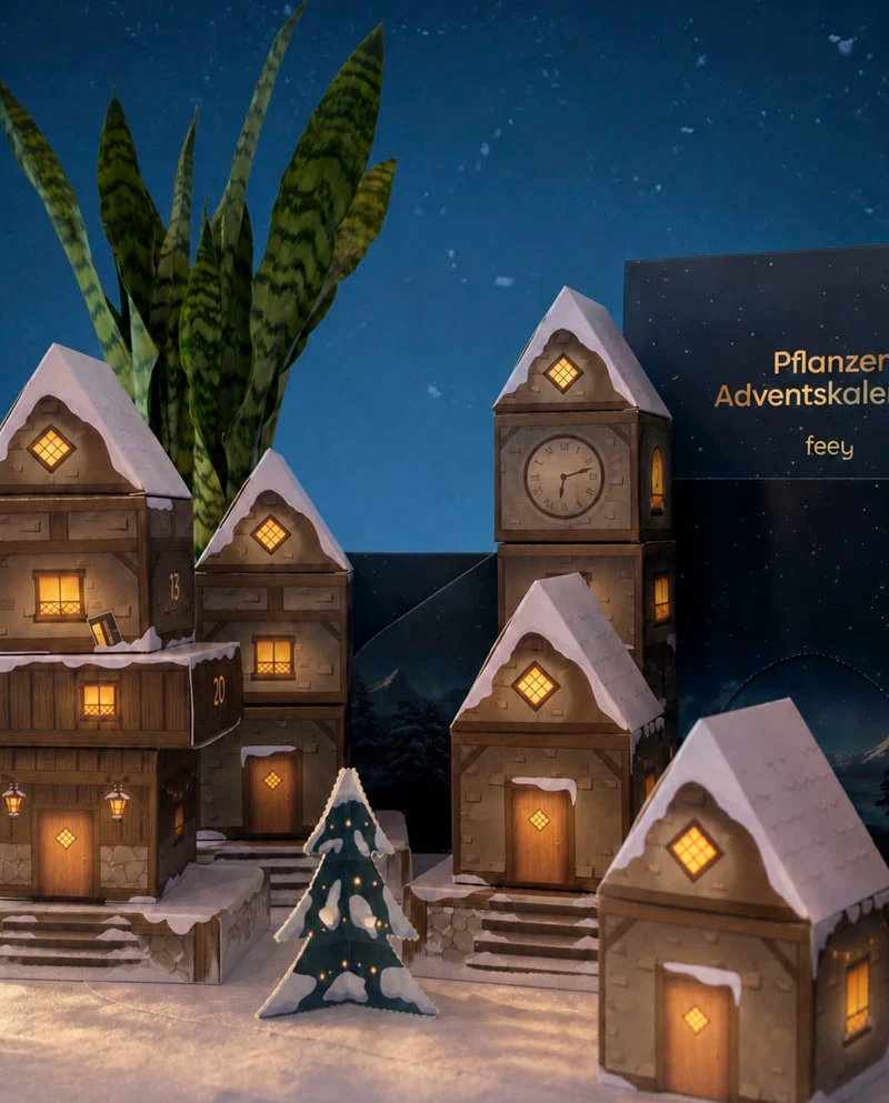 Pflanzen Adventskalender «Winterdorf im Abendblau» (Dschungel-Version)