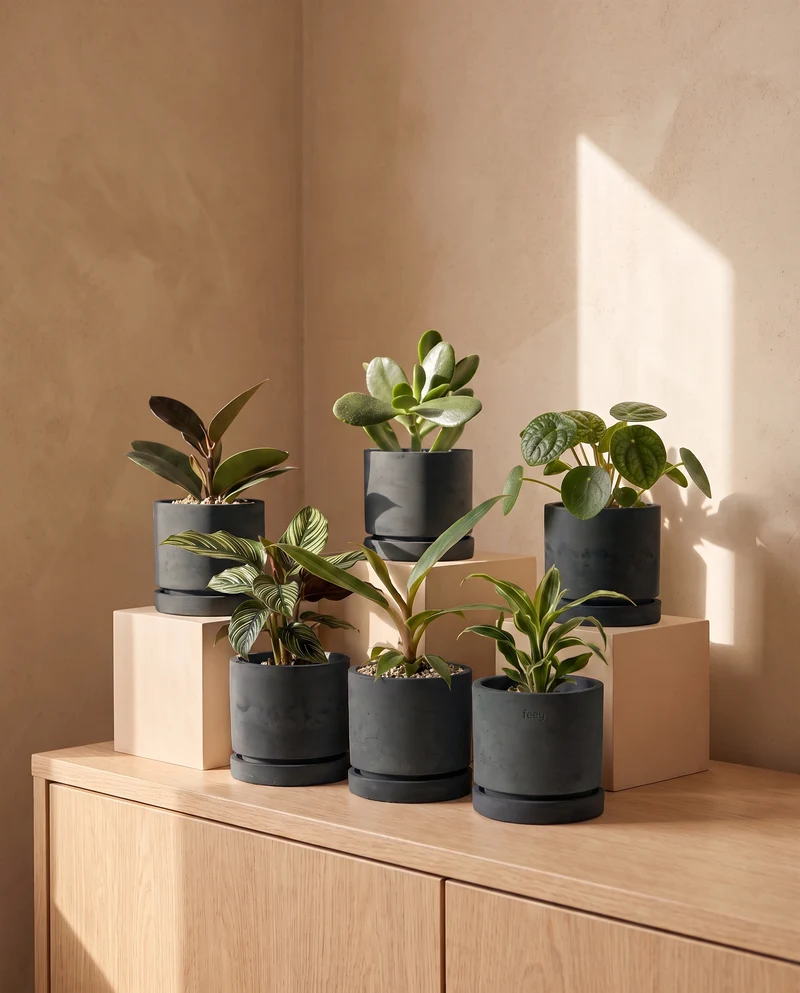 Beton Baby-Topfset 'Kael' (6 Stk.)