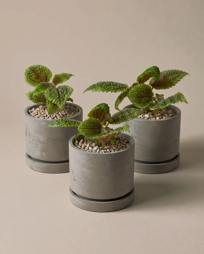 Beton Baby-Topfset 'Kael' (3 Stk.)