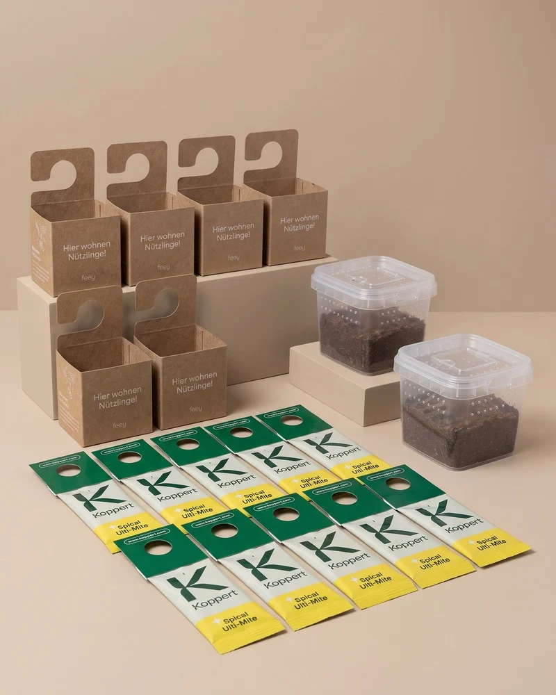 Bekämpfungs-Set gegen Spinnmilben
