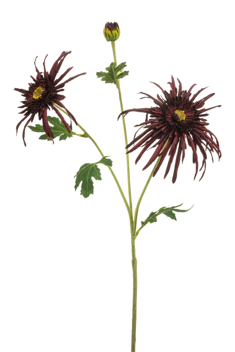 Chrysantheme Spider künstlich 70 cm - 1 Stiel - Bordeaux