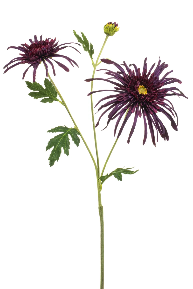 Chrysantheme Spider künstlich 70 cm - 1 Stiel - Lila
