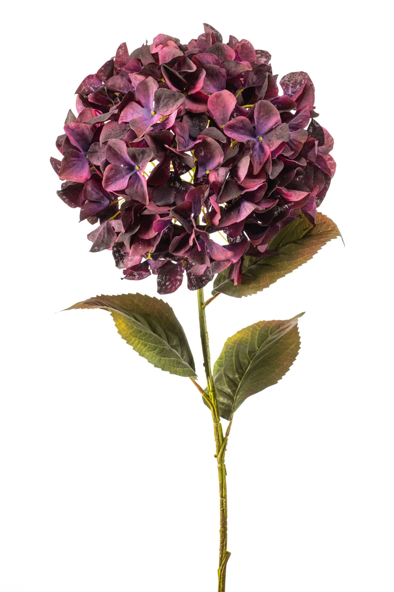 Hortensie XXL künstlich 90 cm - 1 Kopf - Bordeaux