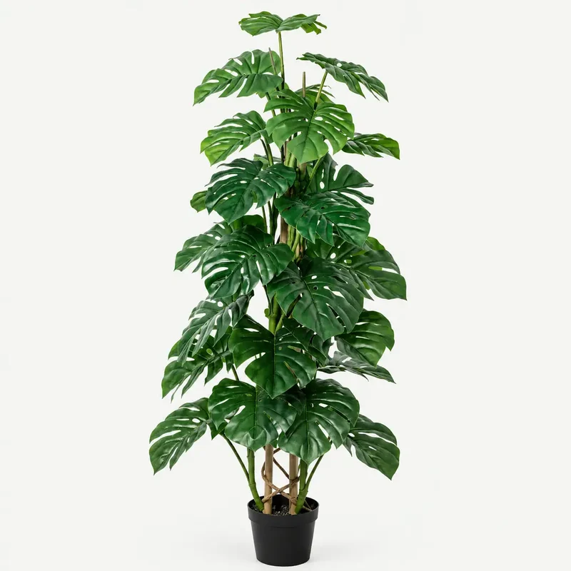 Kunstpflanze groß – künstliche Monstera, 125 cm im Topf