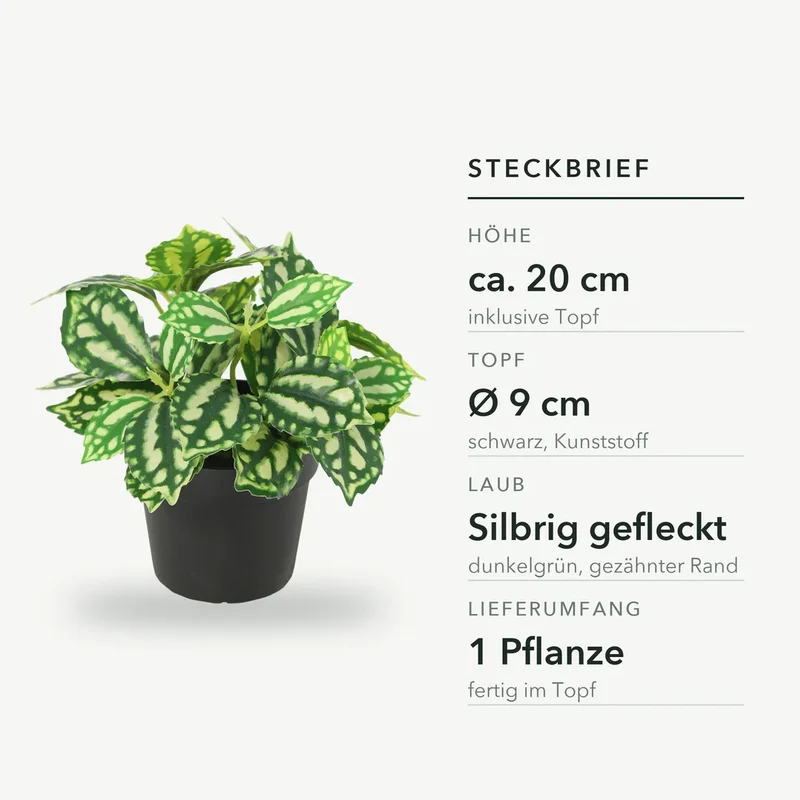 Kunstpflanze klein – künstliche Aluminiumpflanze, 20 cm im Topf