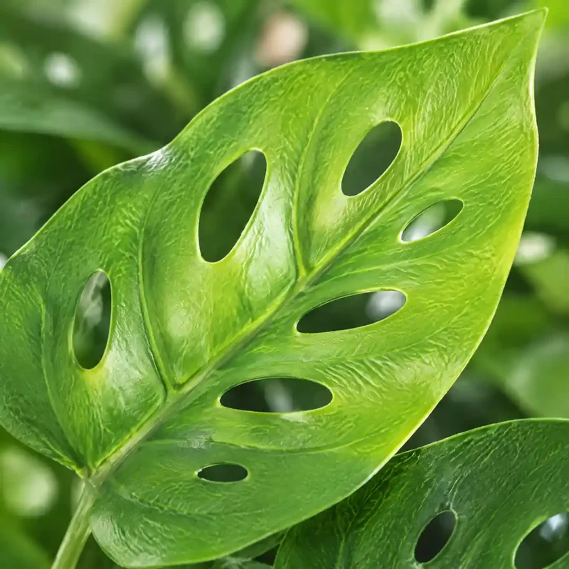 Kunstpflanze klein – künstliche Monstera, 22 cm im Topf