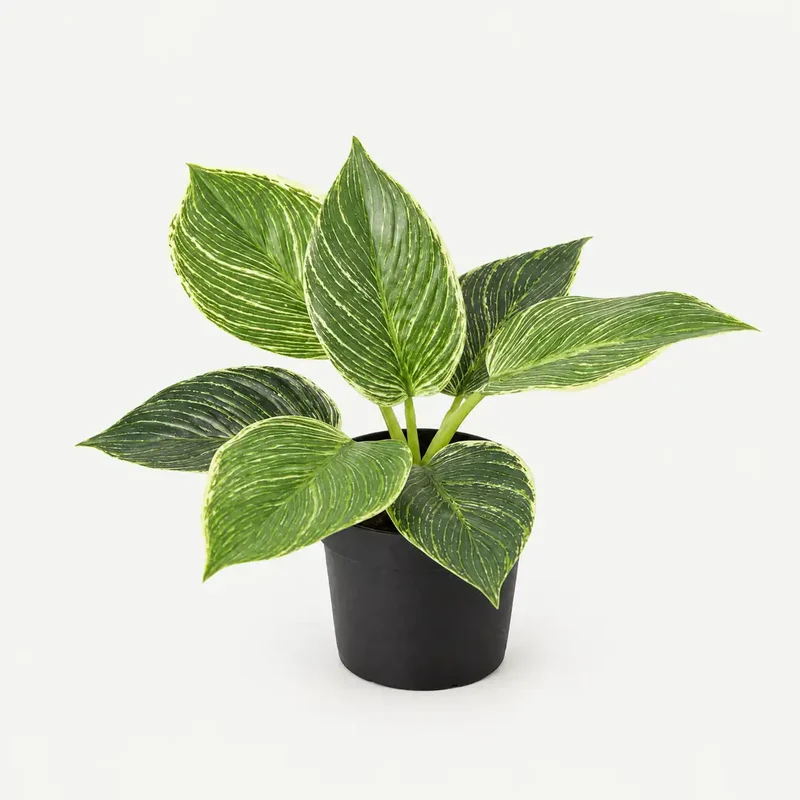 Kunstpflanze klein – künstlicher Philodendron Birkin, 20 cm im Topf