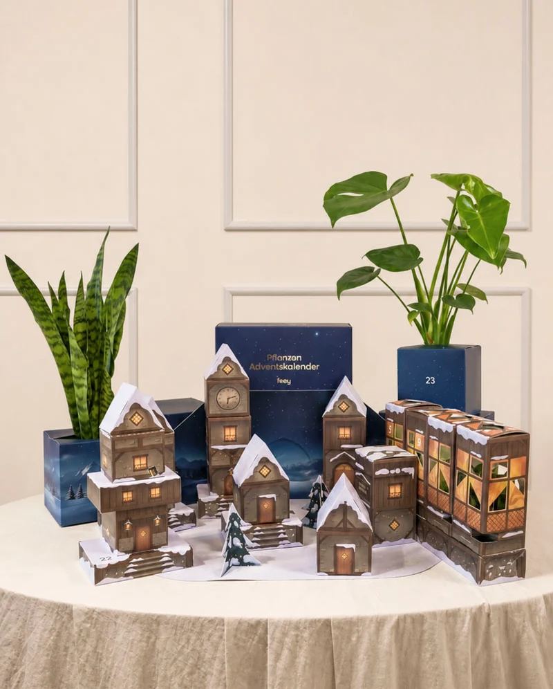 Pflanzen Adventskalender «Winterdorf im Abendblau»
