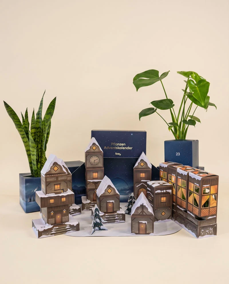 Pflanzen Adventskalender «Winterdorf im Abendblau»