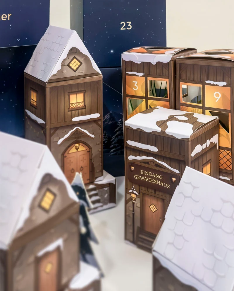 Pflanzen Adventskalender «Winterdorf im Abendblau»