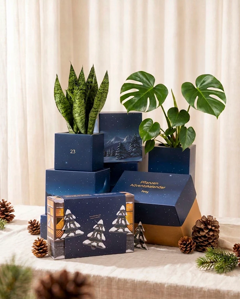 Pflanzen Adventskalender «Winterdorf im Abendblau»