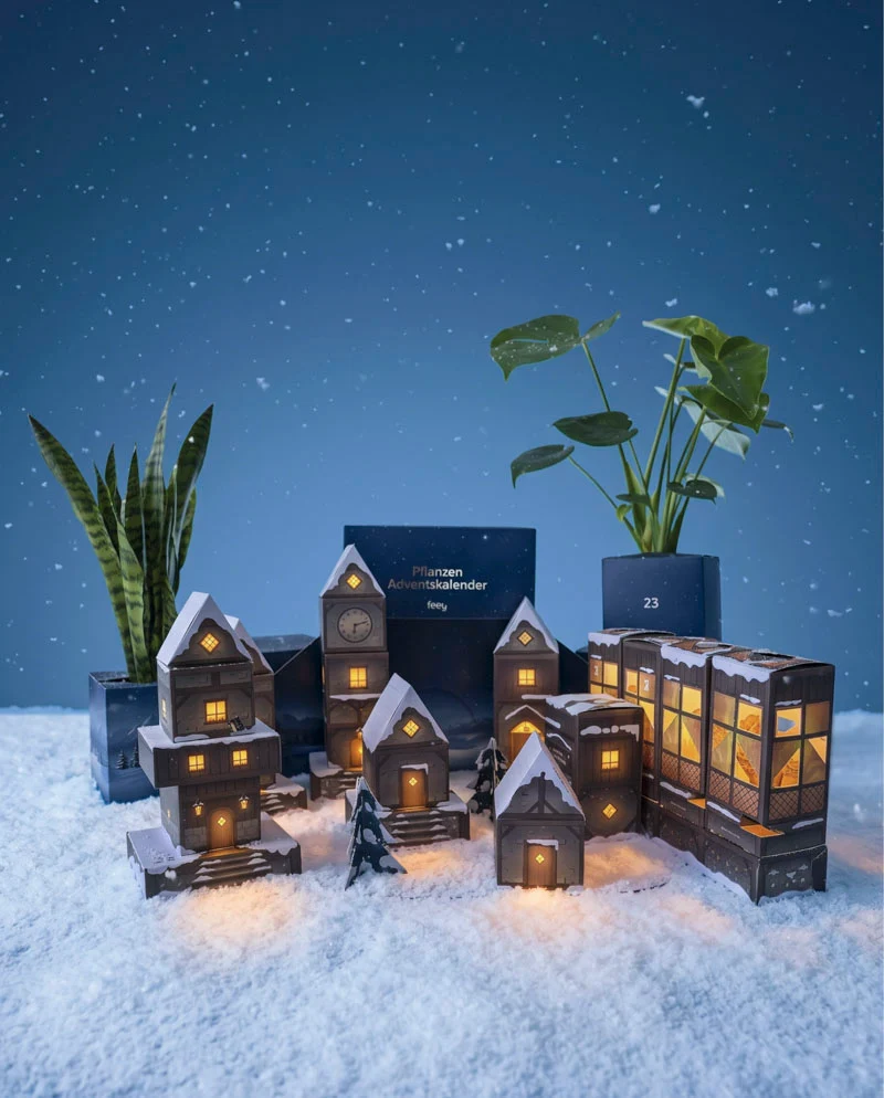 Pflanzen Adventskalender «Winterdorf im Abendblau»