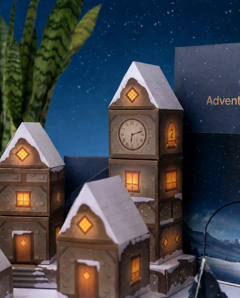 Pflanzen Adventskalender «Winterdorf im Abendblau»