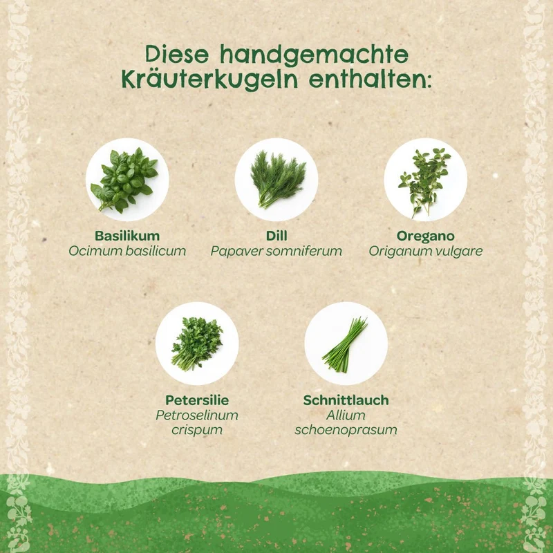 Kräuterkugeln – Saatkugeln mit Kräutern