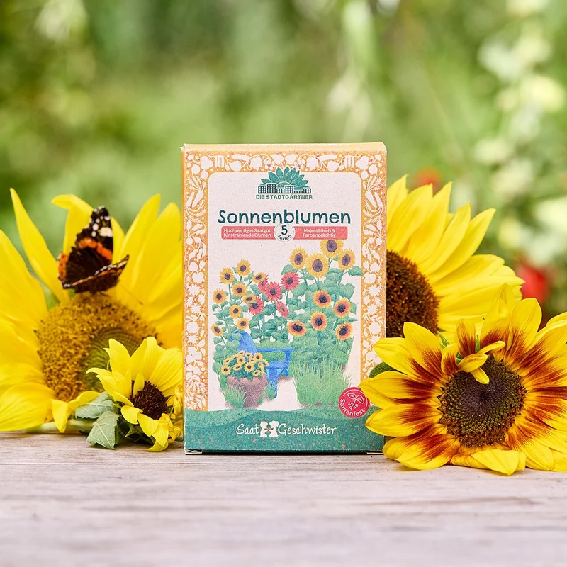 Saatgut-Set "Sonnenblumen"