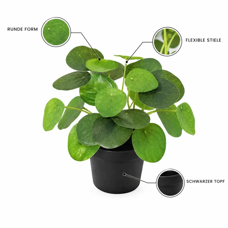 Kunstpflanze klein – künstliche Pilea Peperomioides, 17,5 cm im Topf