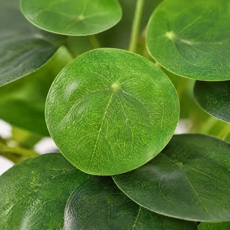 Kunstpflanze klein – künstliche Pilea Peperomioides, 17,5 cm im Topf
