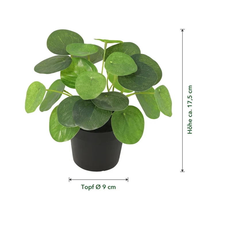 Kunstpflanze klein – künstliche Pilea Peperomioides, 17,5 cm im Topf