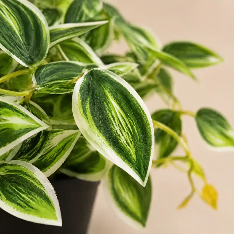 Kunstpflanze klein – künstliche Tradescantia, 17 cm im Topf