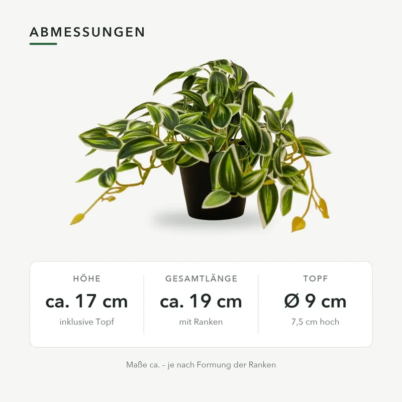 Kunstpflanze klein – künstliche Tradescantia, 17 cm im Topf