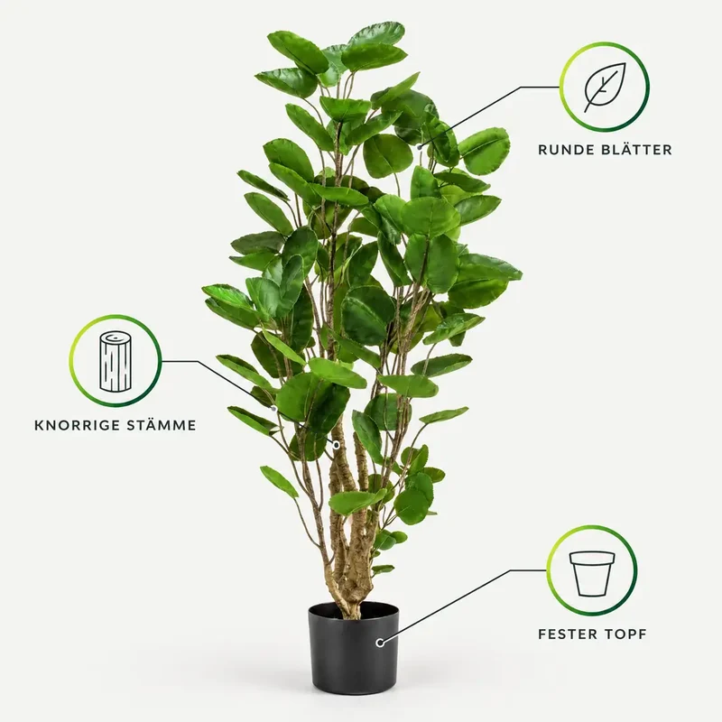 Kunstpflanze groß – künstlicher Polysciasbaum, 105 cm im Topf