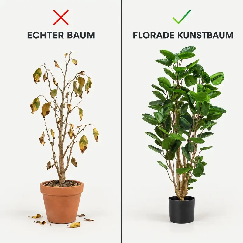 Kunstpflanze groß – künstlicher Polysciasbaum, 105 cm im Topf
