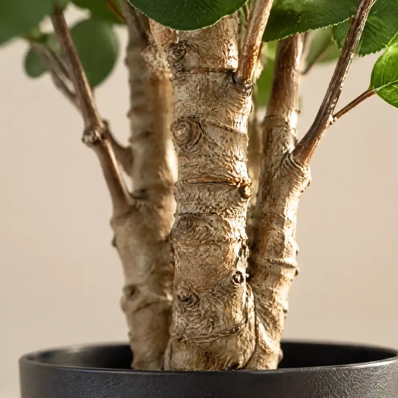Kunstpflanze groß – künstlicher Polysciasbaum, 105 cm im Topf