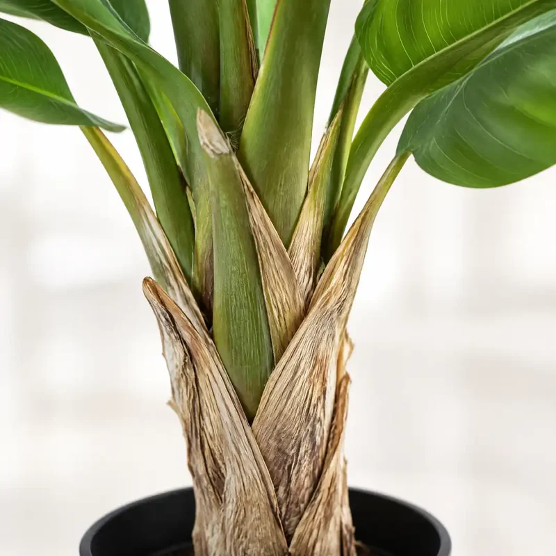Kunstpflanze groß – künstlicher Bananenbaum, 120 cm im Topf