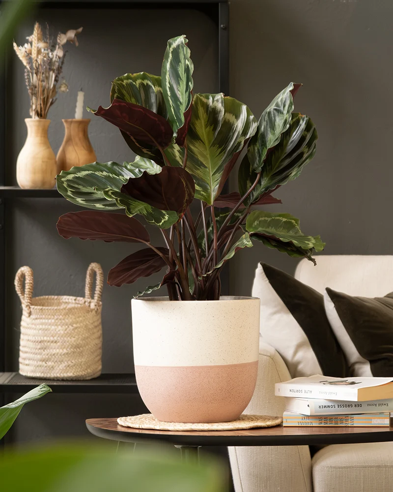 Keramik Topfset 'Variado' (22, 14)