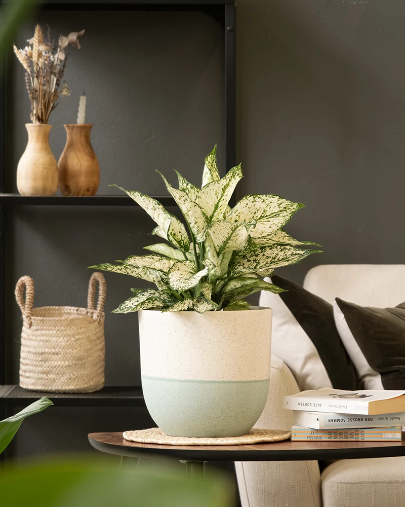 Keramik Topfset 'Variado' (22, 14)