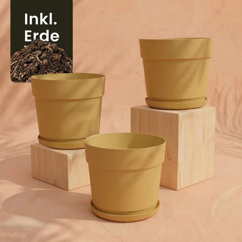 Pflanzkübel-Set 'Bloom' (3× 19)
