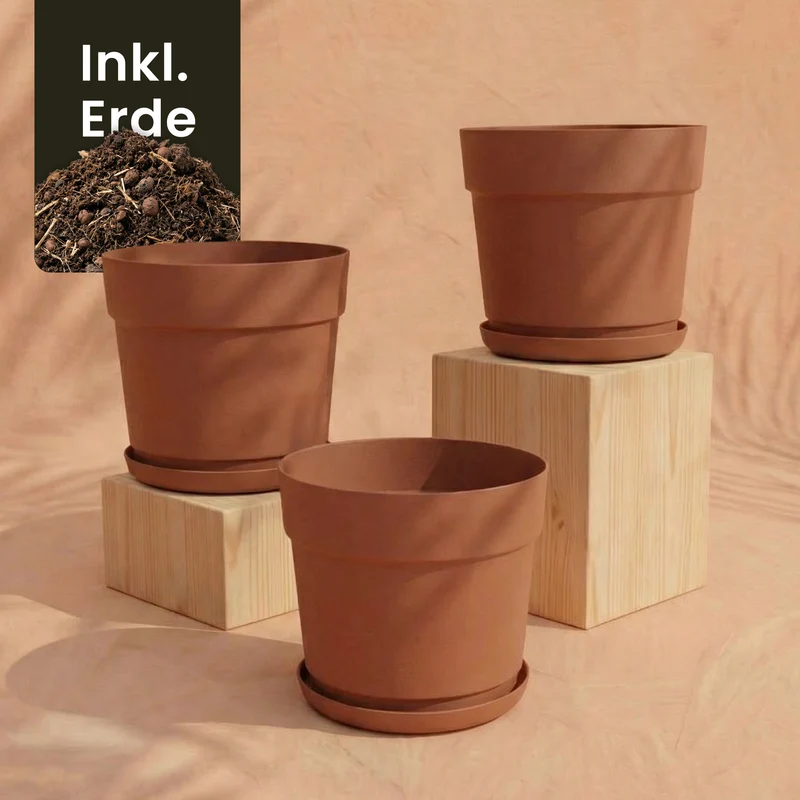 Pflanzkübel-Set 'Bloom' (3× 19)