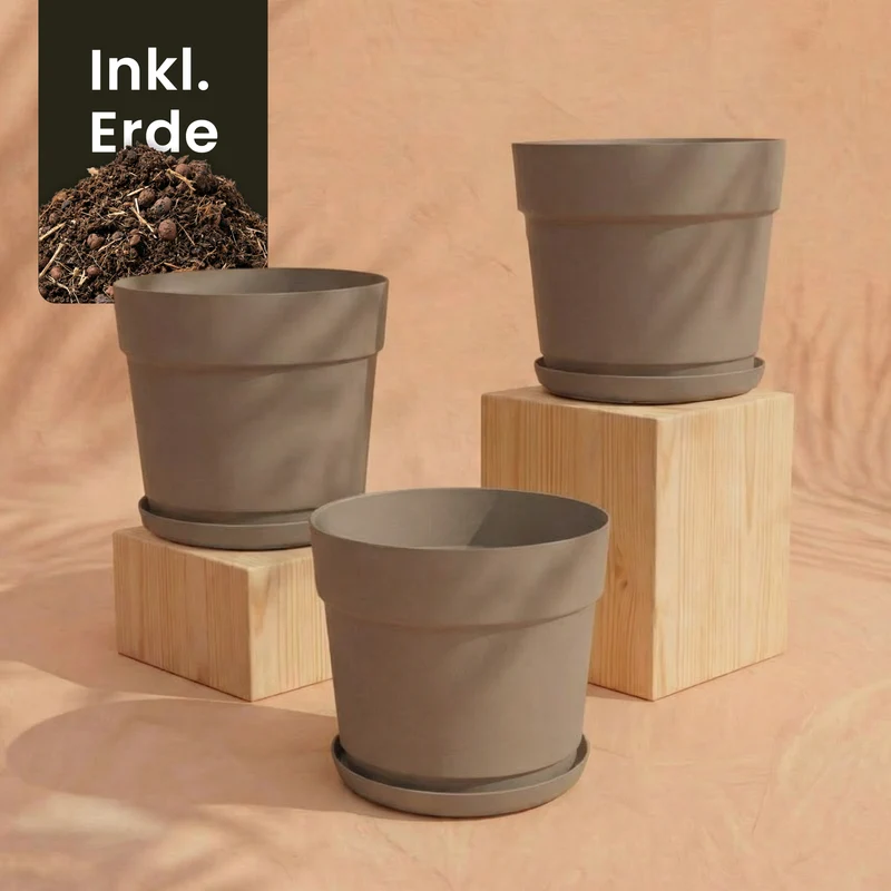 Pflanzkübel-Set 'Bloom' (3× 19)