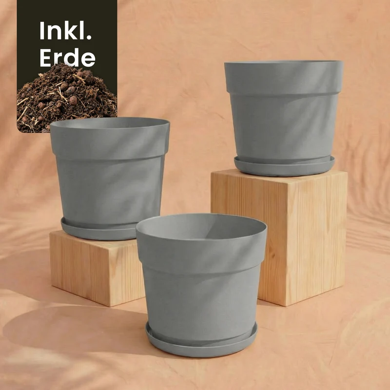 Pflanzkübel-Set 'Bloom' (3× 19)