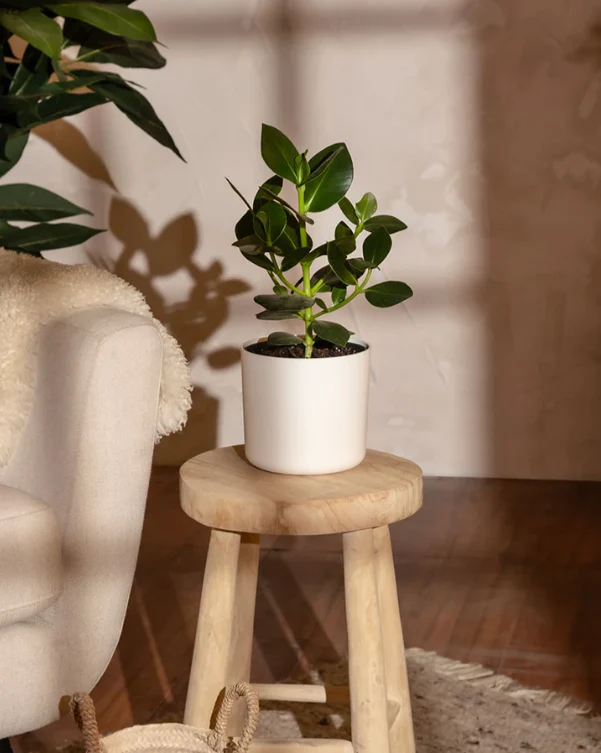 Kunststoff Topfset 'Lumi’ (30, 22, 16)