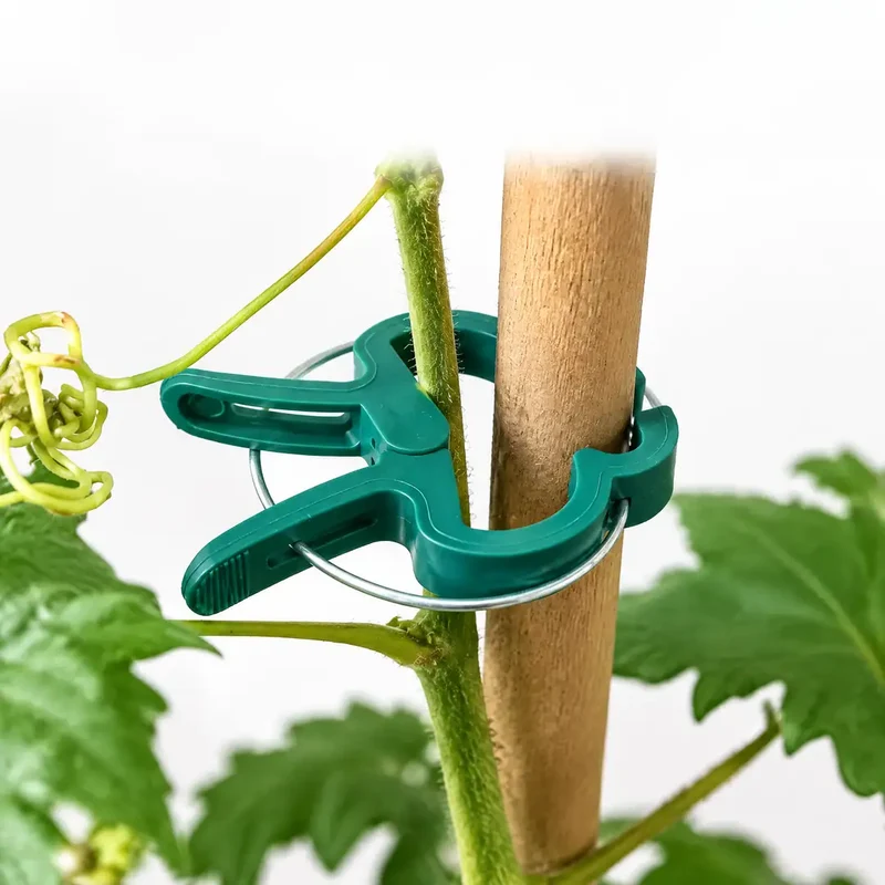 Pflanzenklammern – Tomatenclips für Stäbe & Rankhilfen
