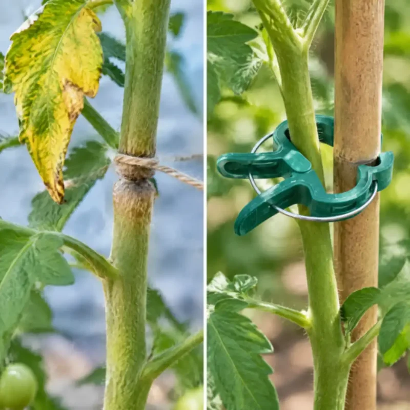 Pflanzenklammern – Tomatenclips für Stäbe & Rankhilfen