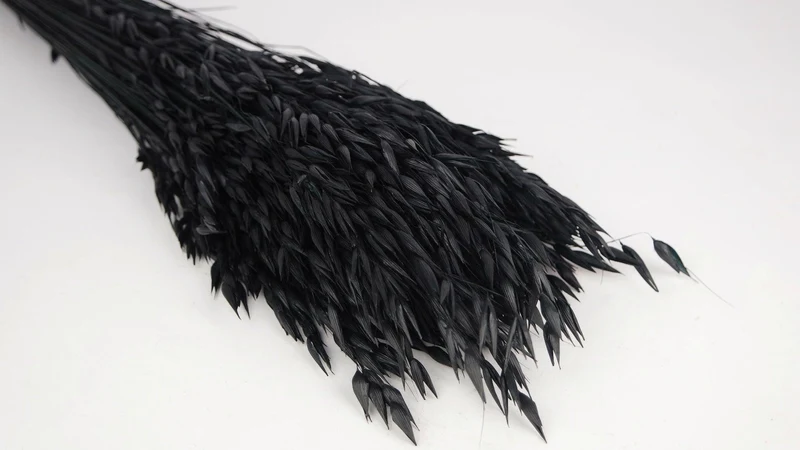Hafer getrocknet - 1 Bund - Schwarz