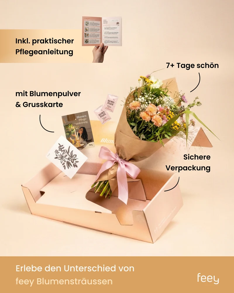Picknickzeit