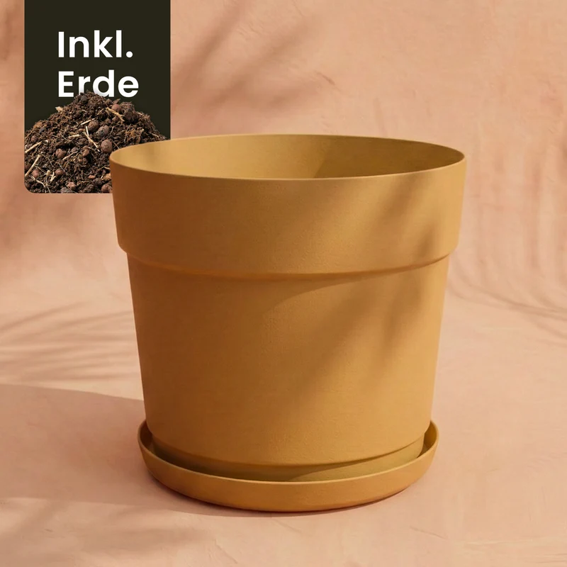 Kunststoff Pflanzkübel (Bloom | 38 cm Ø)
