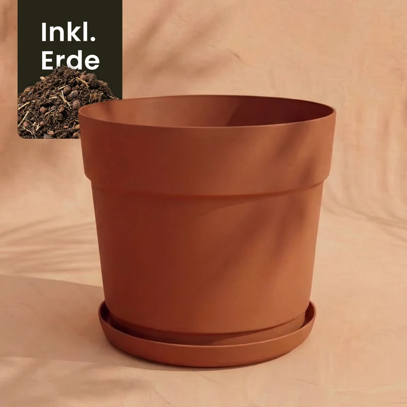 Kunststoff Pflanzkübel (Bloom | 38 cm Ø)