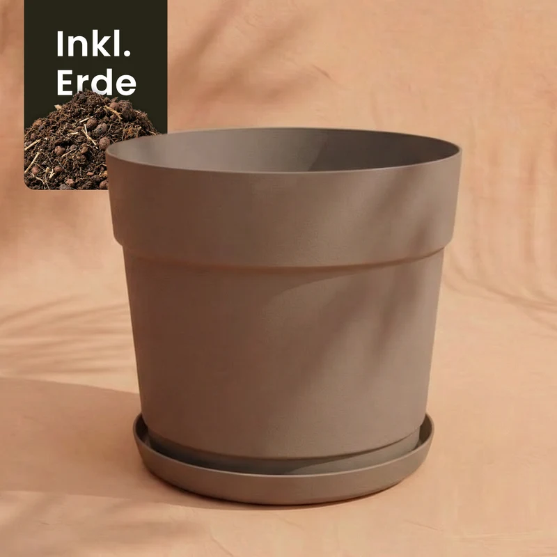 Kunststoff Pflanzkübel (Bloom | 38 cm Ø)
