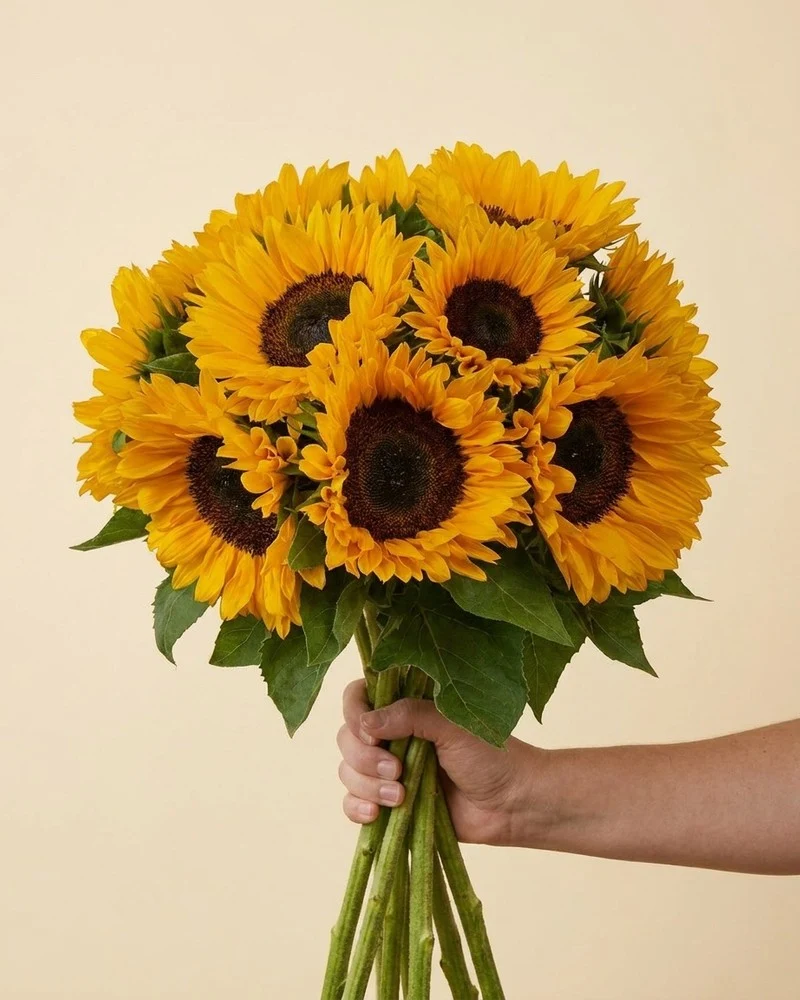 Sonnenblumen