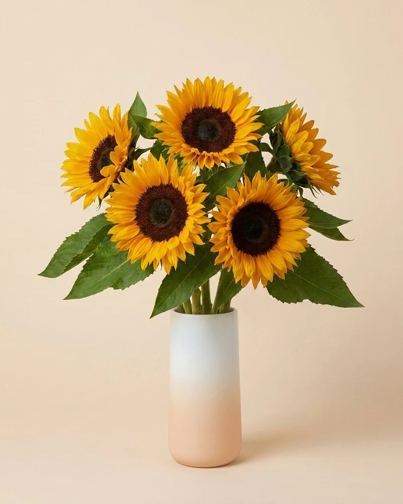 Sonnenblumen