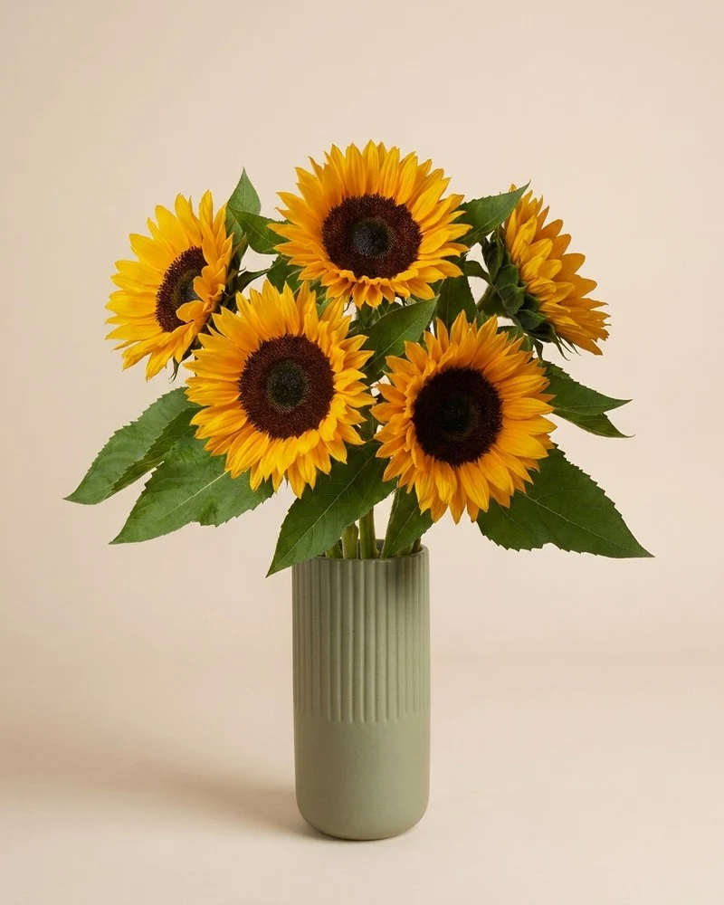 Sonnenblumen