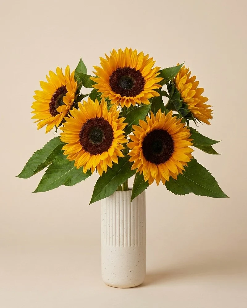 Sonnenblumen