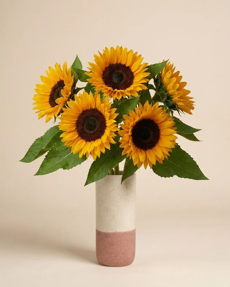 Sonnenblumen
